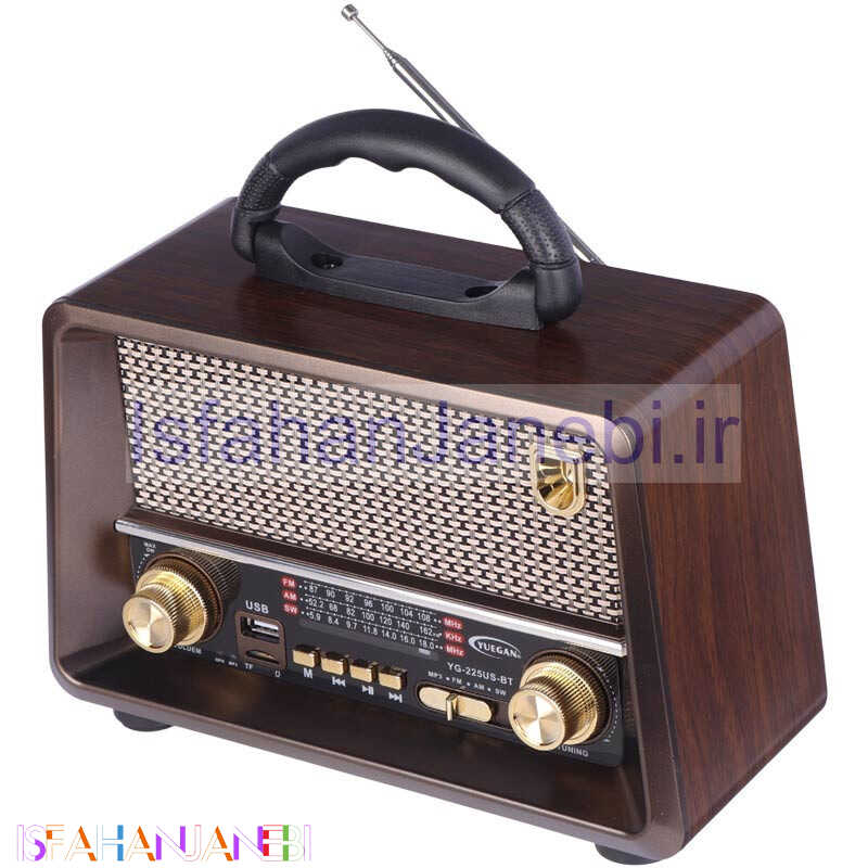 اصفهان جانبی-رادیو اسپیکر بلوتوثی رم و فلش خور Yuegan YG-225US-BT