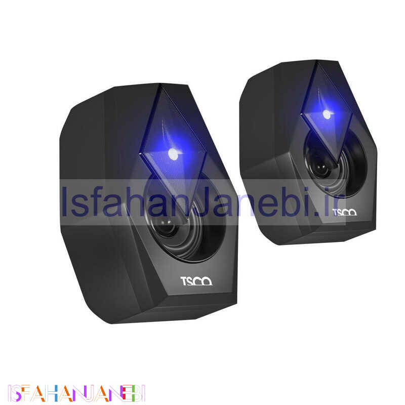 اصفهان جانبی-اسپیکر دو تکه TSCO TS2071