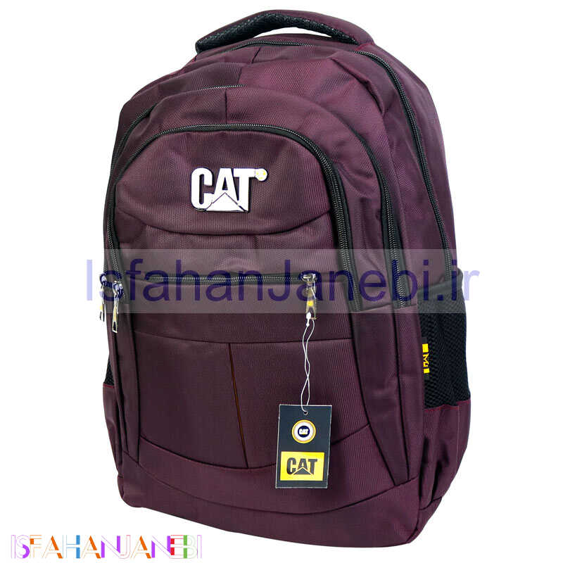 اصفهان جانبی-کوله پشتی لپ تاپ Cat کد 90