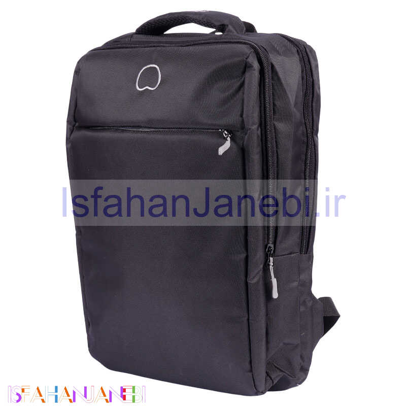 اصفهان جانبی-کوله پشتی لپ تاپ Delsey