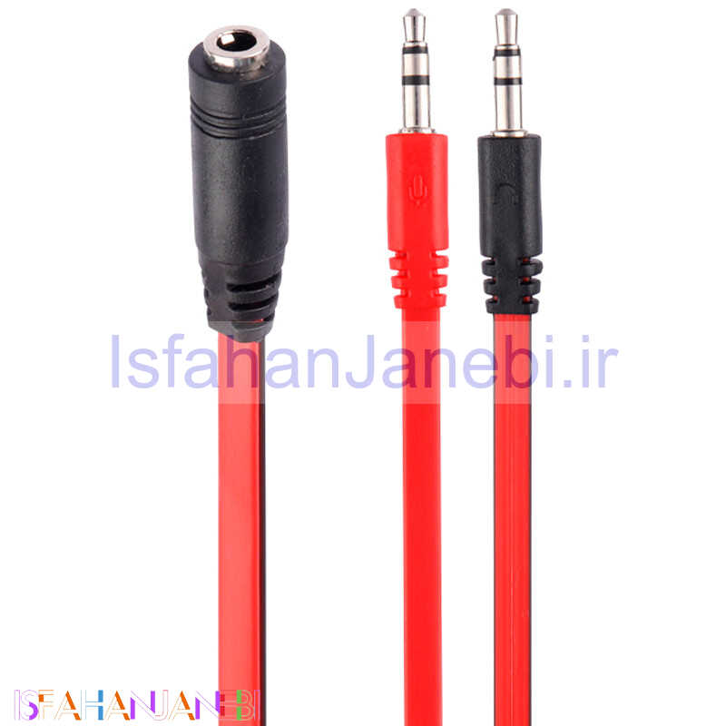 اصفهان جانبی-تبدیل 2 به 1 صدا Royal 20cm