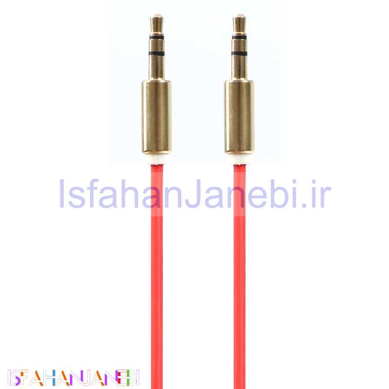 اصفهان جانبی-کابل TSCO TC93 1m AUX