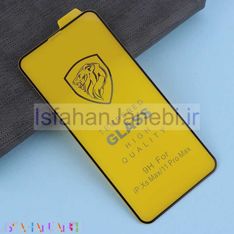 اصفهان جانبی-گلس Tempered آیفون iPhone 11 / XR کد 1