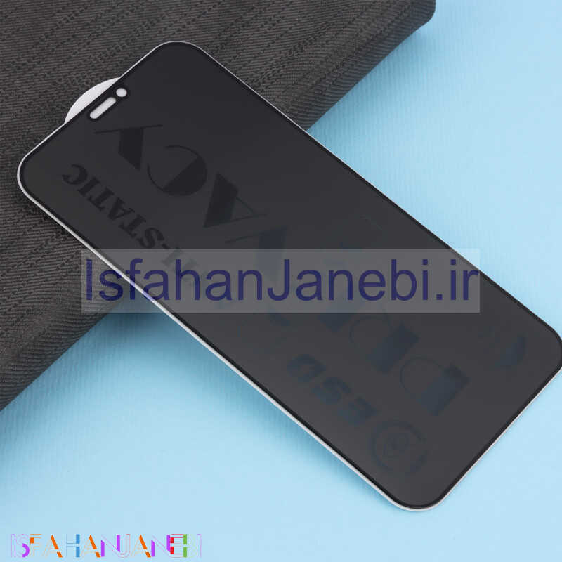اصفهان جانبی-گلس ESD Privacy Anti Static آیفون iPhone 11 / XR