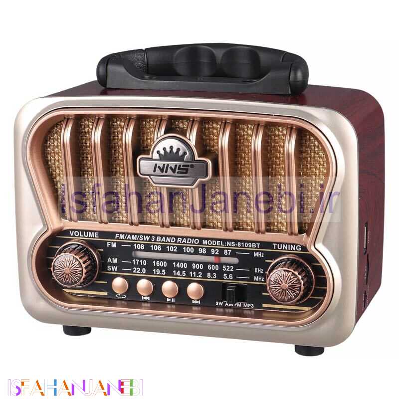 اصفهان جانبی-رادیو اسپیکر بلوتوثی رم و فلش خور NNS NS-8109BT