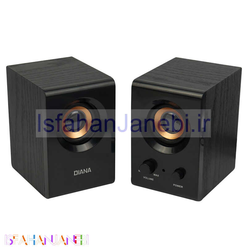 اصفهان جانبی-اسپیکر دو تکه Diana D99A