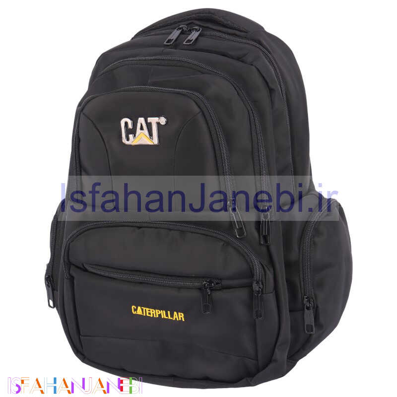 اصفهان جانبی-کوله پشتی لپ تاپ Cat کد MC-416