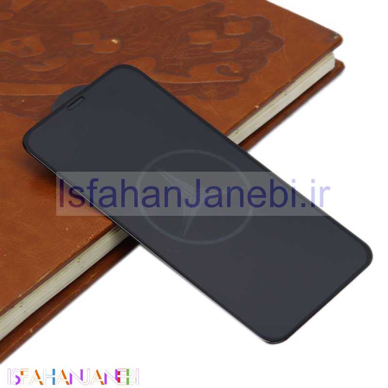 اصفهان جانبی-گلس طرحدار آیفون iPhone XR مشکی