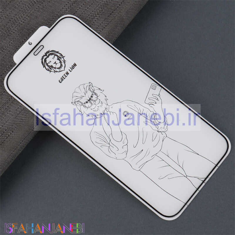 اصفهان جانبی-گلس تمام چسب Green Lion Steve آیفون iPhone 12 Pro