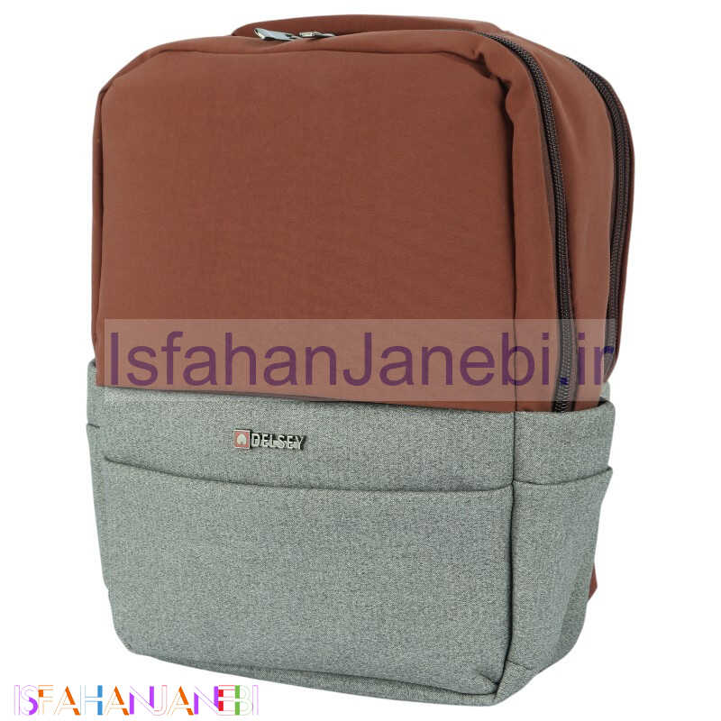 اصفهان جانبی-کوله پشتی لپ تاپ Delsey کد 054