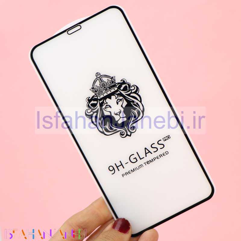 اصفهان جانبی-گلس 3D پکدار LIONSERIES آیفون iPhone XS Max
