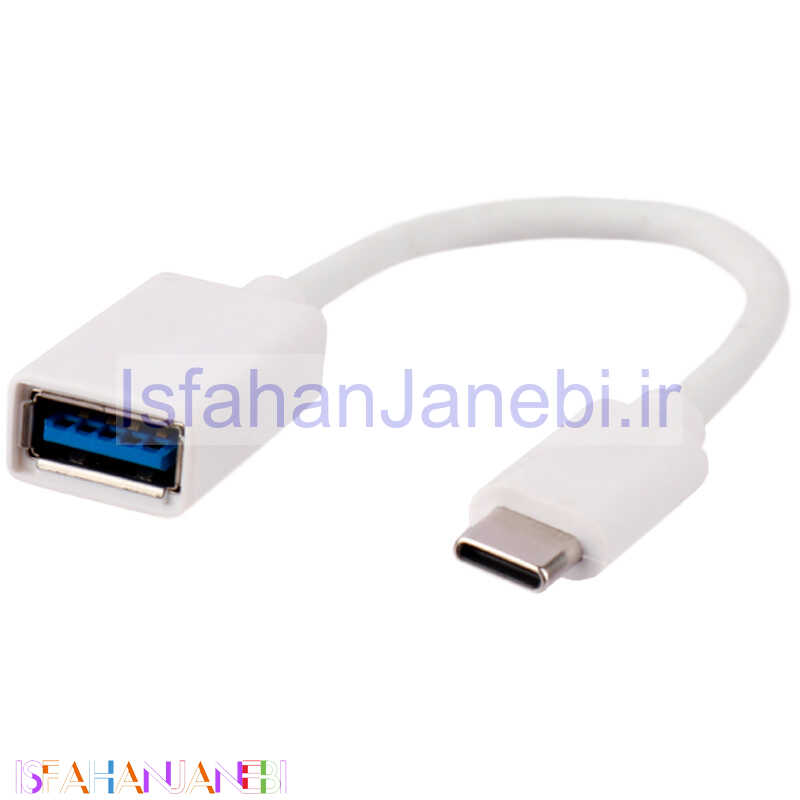 اصفهان جانبی-کابل تبدیل Samsung OT-200 OTG USB To Type-C