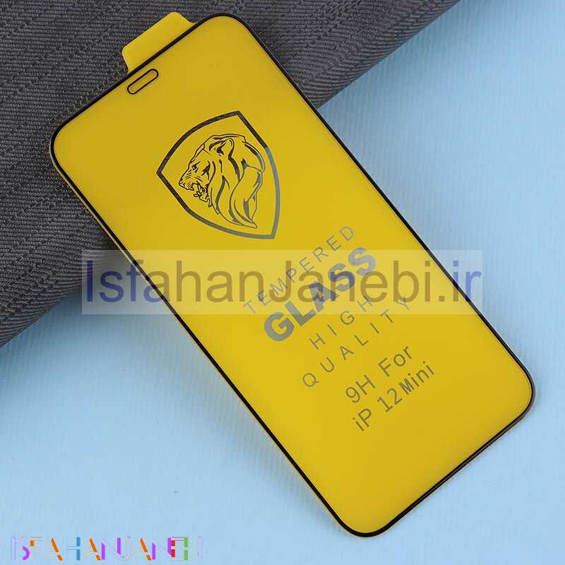 اصفهان جانبی-گلس Tempered آیفون iPhone 12 Mini کد 1