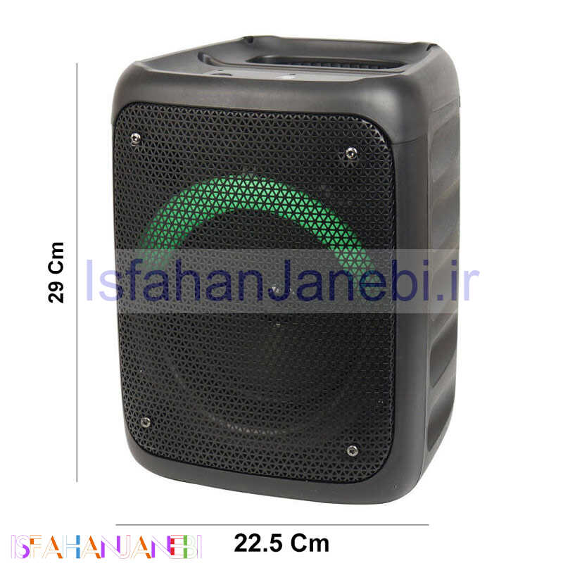 اصفهان جانبی-اسپیکر بلوتوثی رم و فلش خور KTS-1238