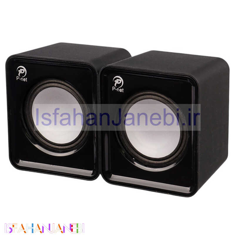 اصفهان جانبی-اسپیکر دو تکه P-net V310