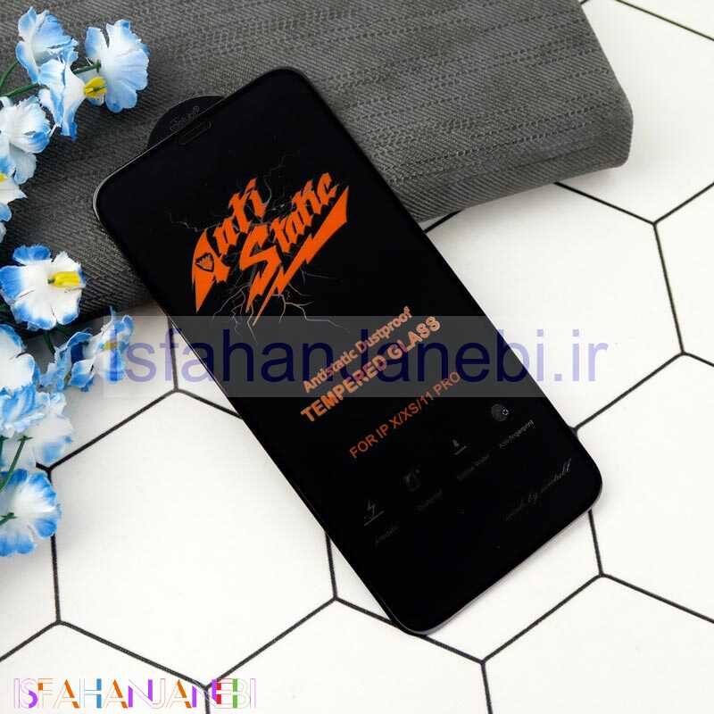 اصفهان جانبی-گلس Anti Static آیفون iPhone 11 Pro