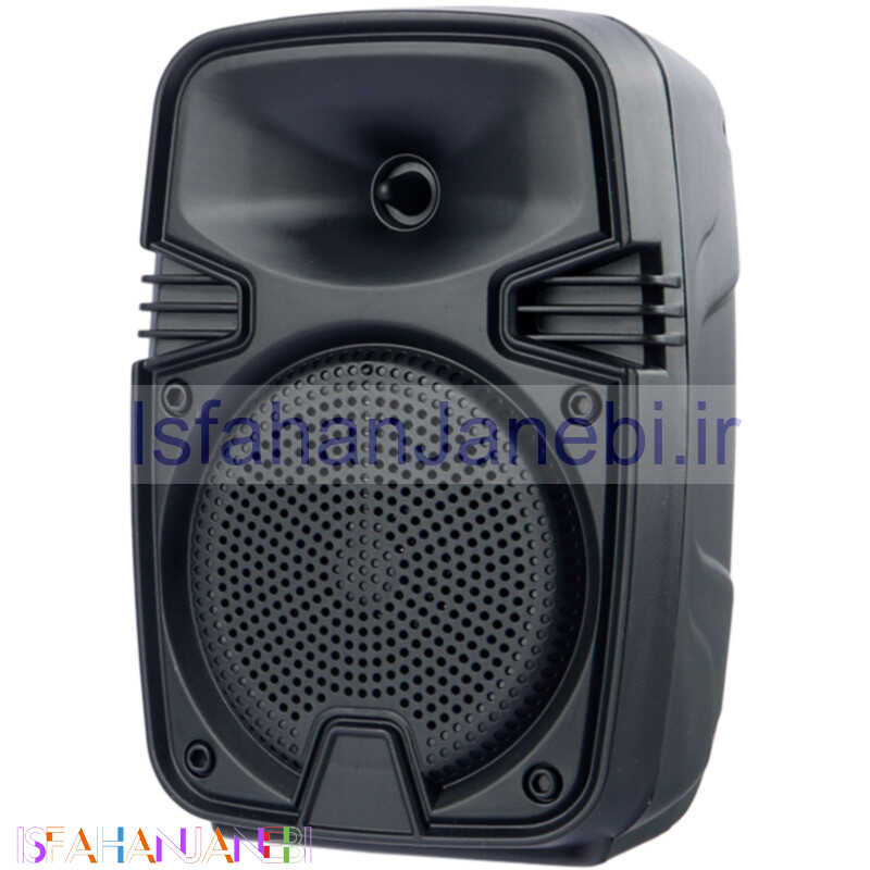 اصفهان جانبی-اسپیکر بلوتوثی رم و فلش خور Sing-E ZQS1328