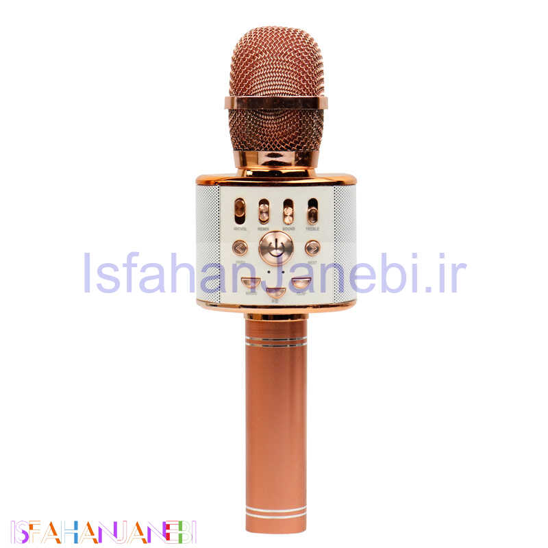 اصفهان جانبی-میکروفون و اسپیکر WS-858L