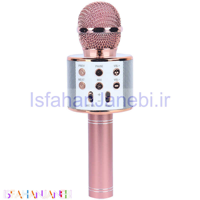 اصفهان جانبی-میکروفون و اسپیکر Godfrey WS-858L
