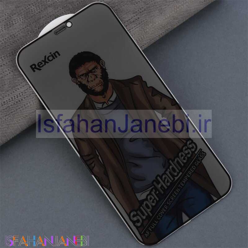 اصفهان جانبی-گلس Super Hardness پرایوسی رکسین آیفون iPhone 12 / 12 Pro