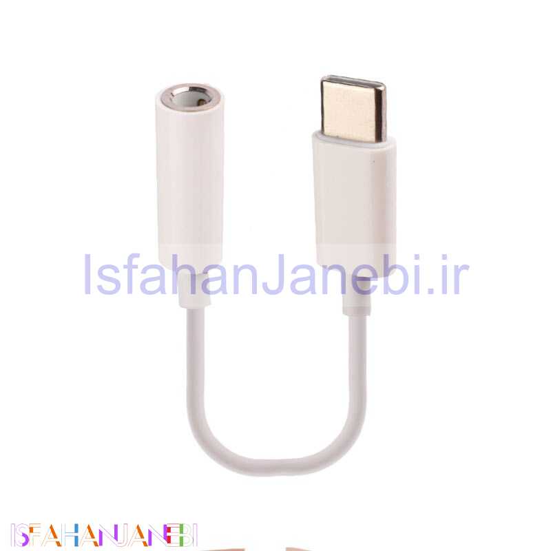 اصفهان جانبی-تبدیل Apple MU7E2ZM/A Type-C to AUX