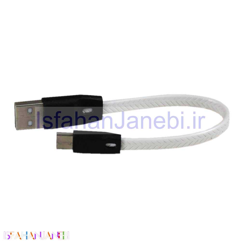 اصفهان جانبی-کابل کوتاه Xstar Type-C
