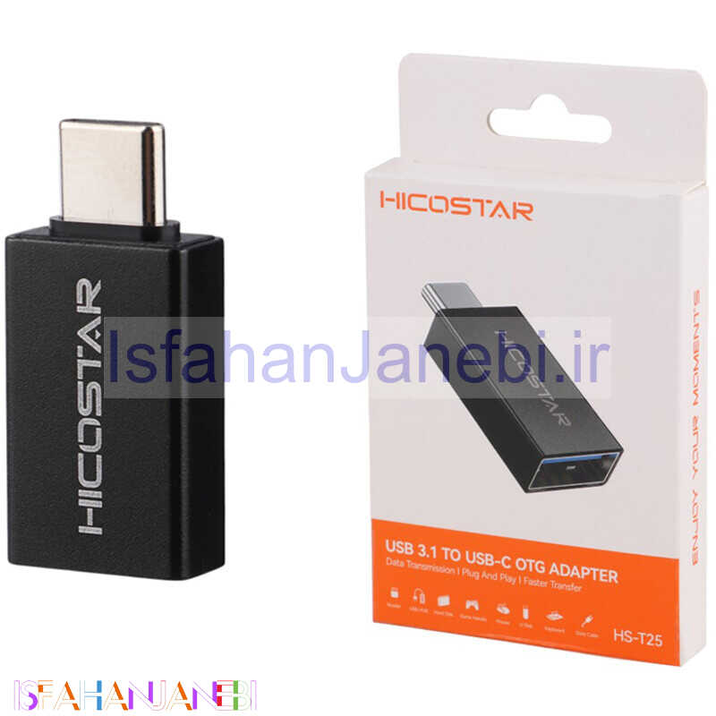 اصفهان جانبی-تبدیل USB3.1 OTG به Type-C هایکو استار HS-T25