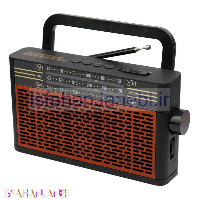 اصفهان جانبی-رادیو اسپیکر بلوتوثی رم و فلش خور Meier M-8003BT