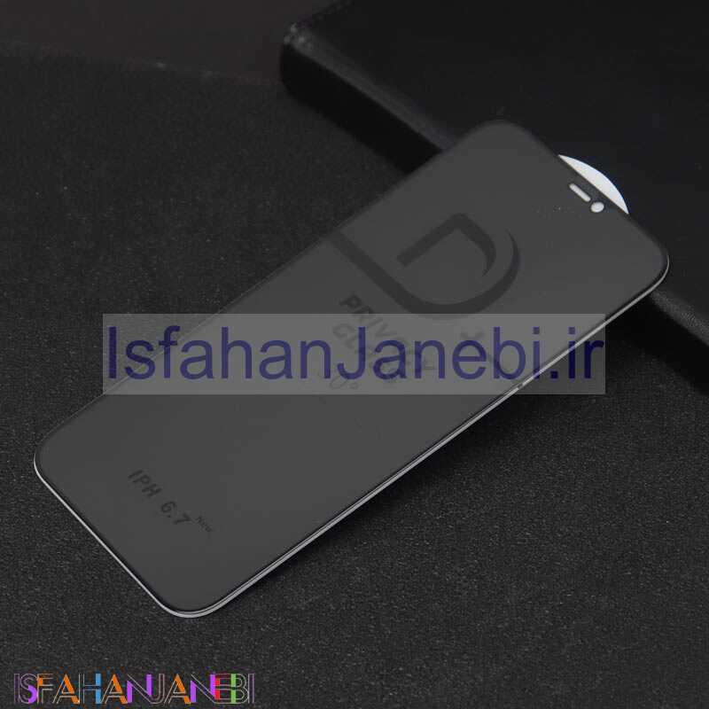 اصفهان جانبی-گلس Privacy لیتو iPhone 12 Pro Max