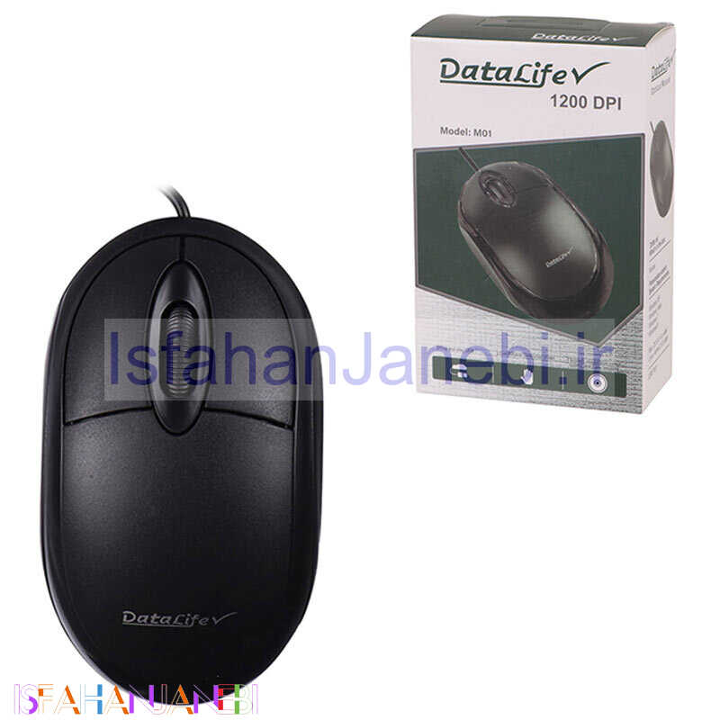 اصفهان جانبی-موس دیتالایف M01