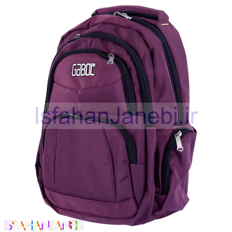 اصفهان جانبی-کوله پشتی لپ تاپ B044