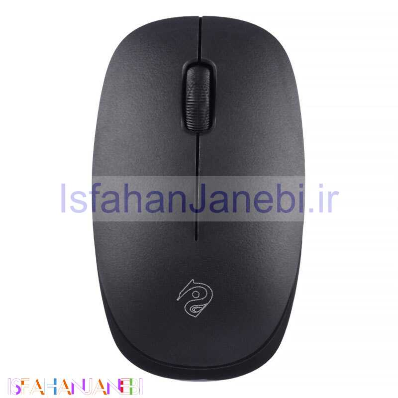 اصفهان جانبی-موس بی سیم Rizyue R10