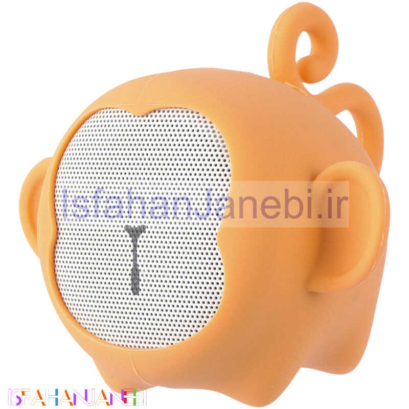 اصفهان جانبی-اسپیکر بلوتوثی TSCO TS 23020