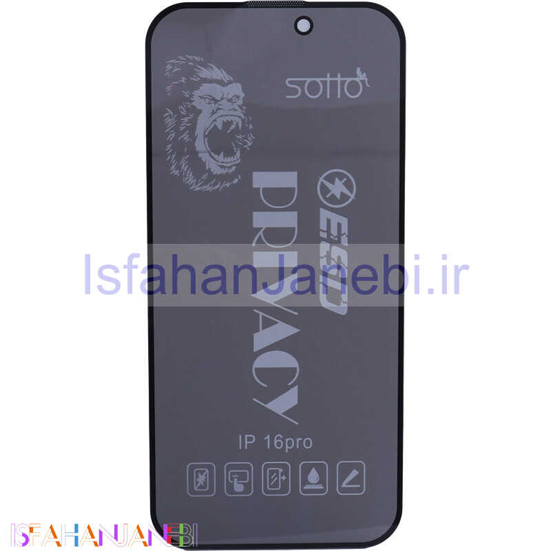 اصفهان جانبی-گلس پرایوسی آنتی استاتیک Sotto آیفون iPhone 16 Pro