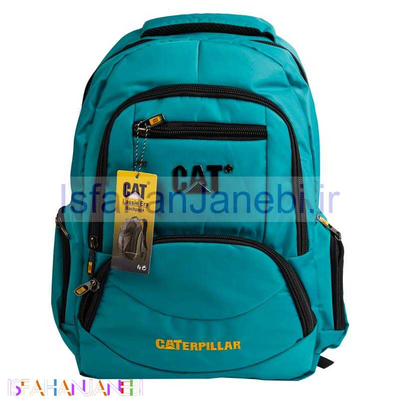 اصفهان جانبی-کوله پشتی لپ تاپ Cat کد 78