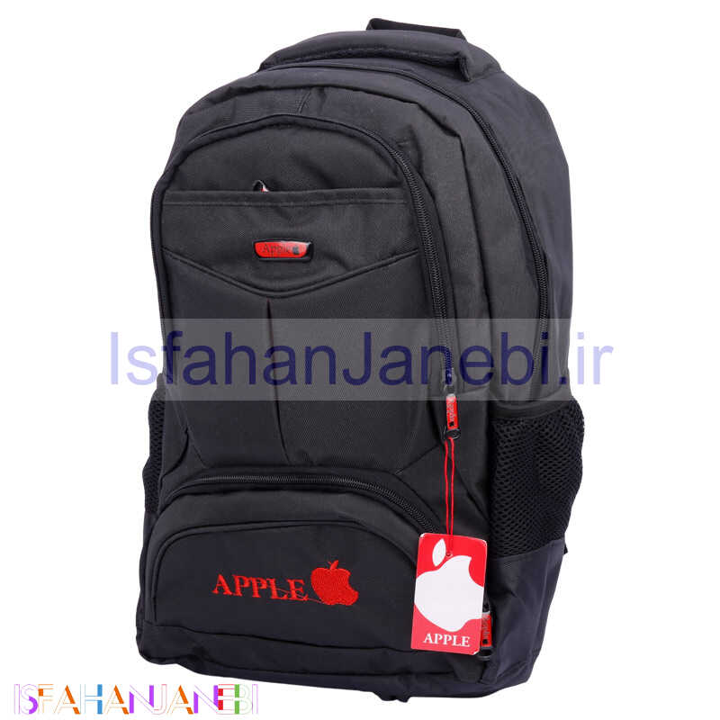 اصفهان جانبی-کوله پشتی لپ تاپ کد 358