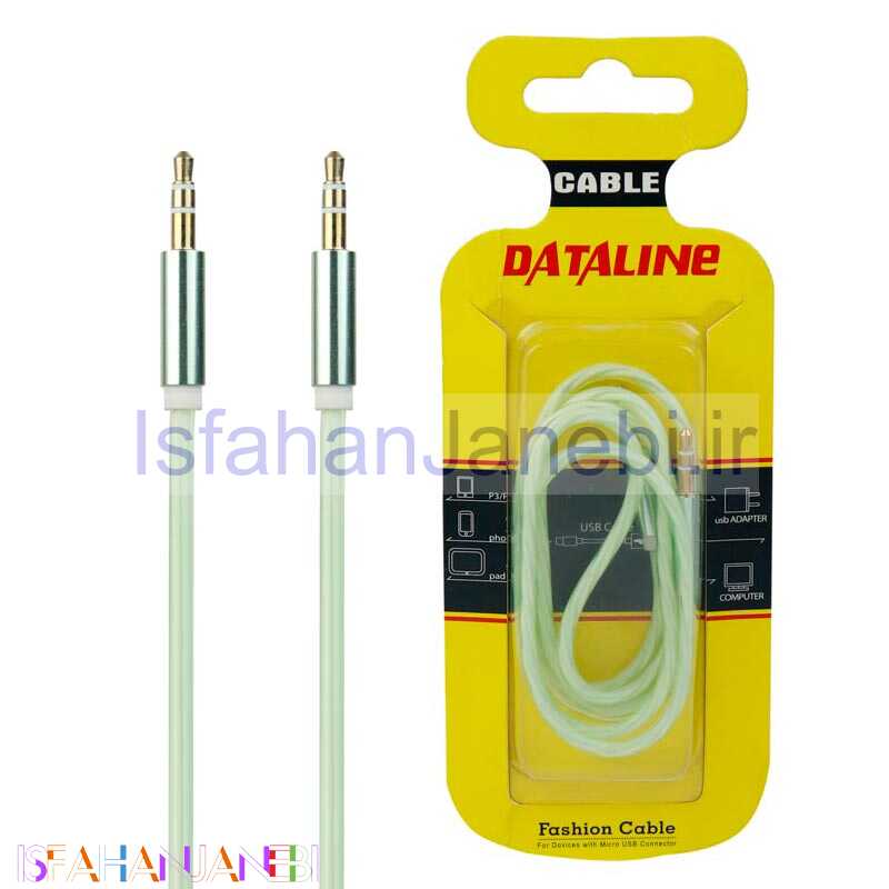 اصفهان جانبی-کابل Dataline AUX 1m