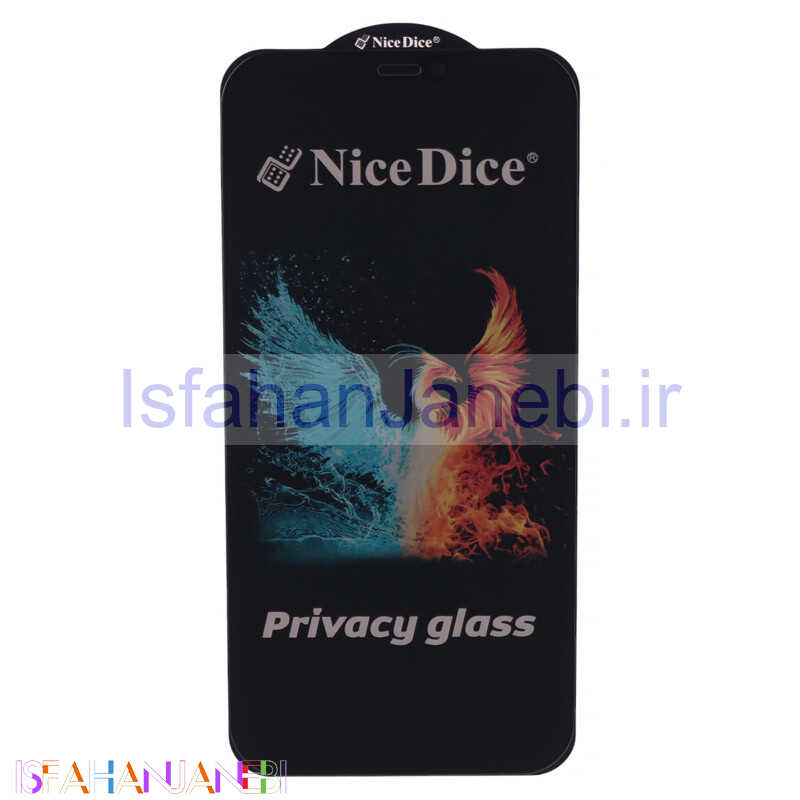 اصفهان جانبی-گلس پرایوسی Nice Dice آیفون 12