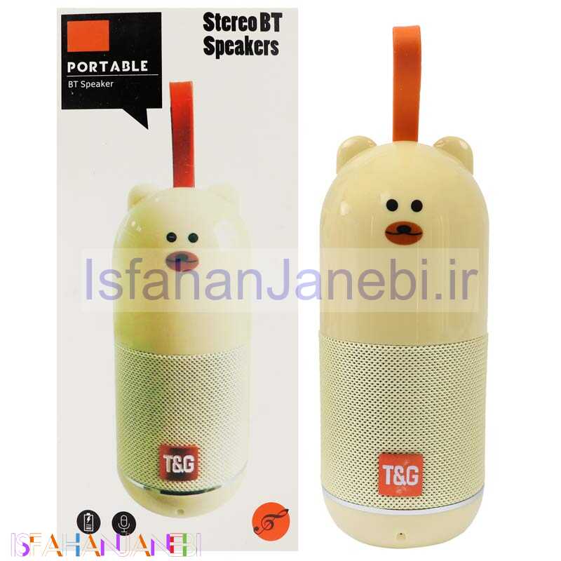 اصفهان جانبی-اسپیکر بلوتوثی رم و فلش خور T&G TG502