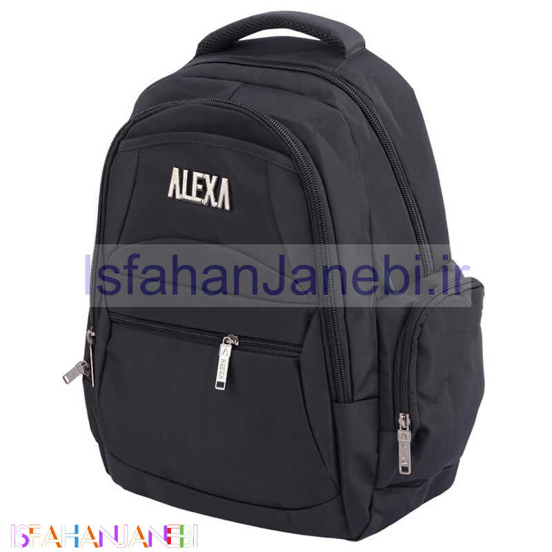 اصفهان جانبی-کوله پشتی لپ تاپ Alexa کد 490