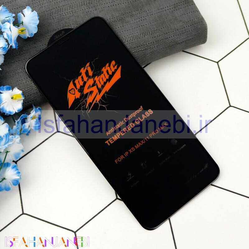 اصفهان جانبی-گلس Anti Static آیفون iPhone 11 Pro Max