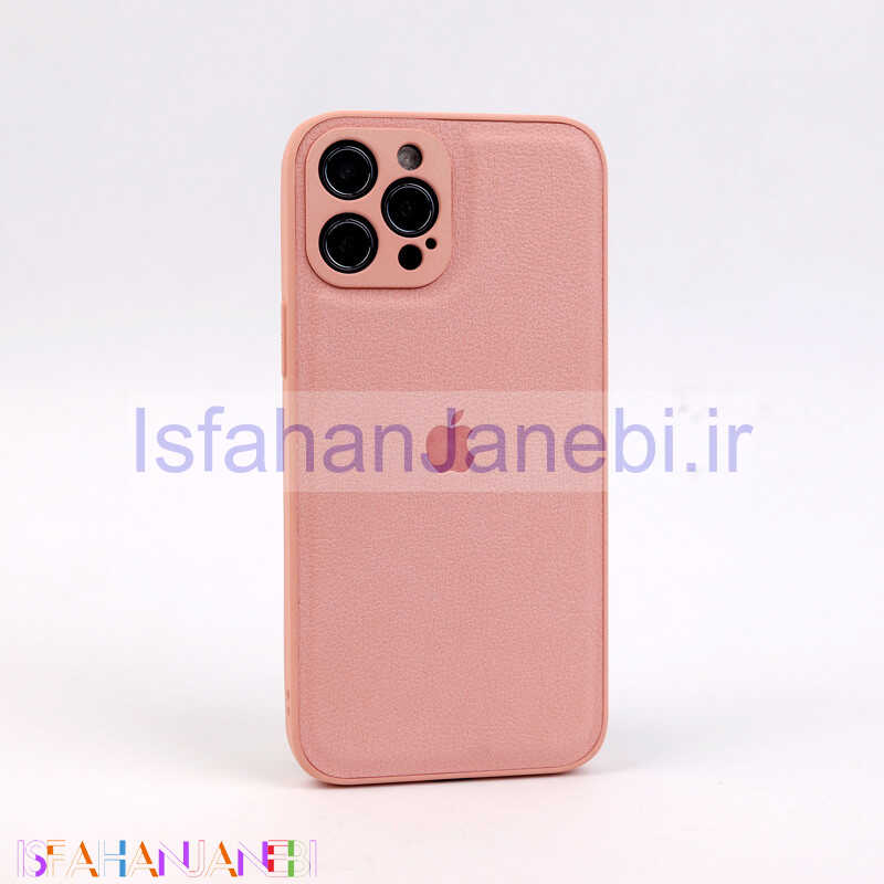اصفهان جانبی-قاب چرمی Holborn محافظ لنزدار iPhone 12 Pro Max