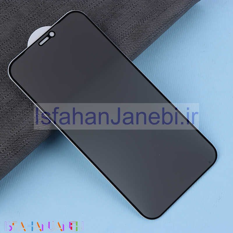 اصفهان جانبی-گلس پرایوسی Tempered آیفون iPhone 12 Pro Max