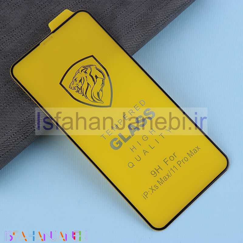 اصفهان جانبی-گلس Tempered آیفون iPhone XS Max / 11 Pro Max کد 1