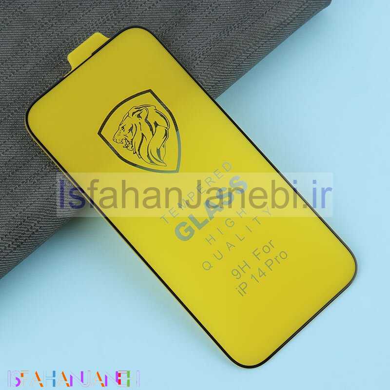 اصفهان جانبی-گلس Newmond Tempered آیفون iPhone 14 Pro