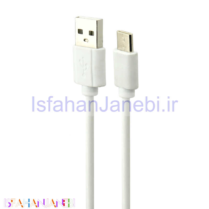 اصفهان جانبی-کابل کوتاه تایپ سی 25cm
