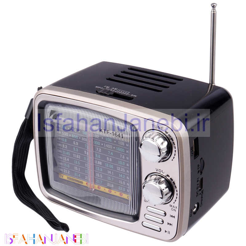 اصفهان جانبی-رادیو اسپیکر بلوتوثی رم و فلش خور KTF-1641
