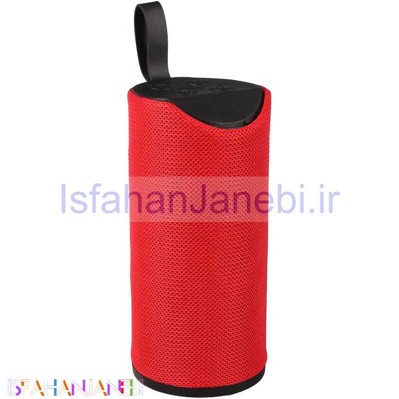 اصفهان جانبی-اسپیکر بلوتوثی رم و فلش خور Godfrey V-113