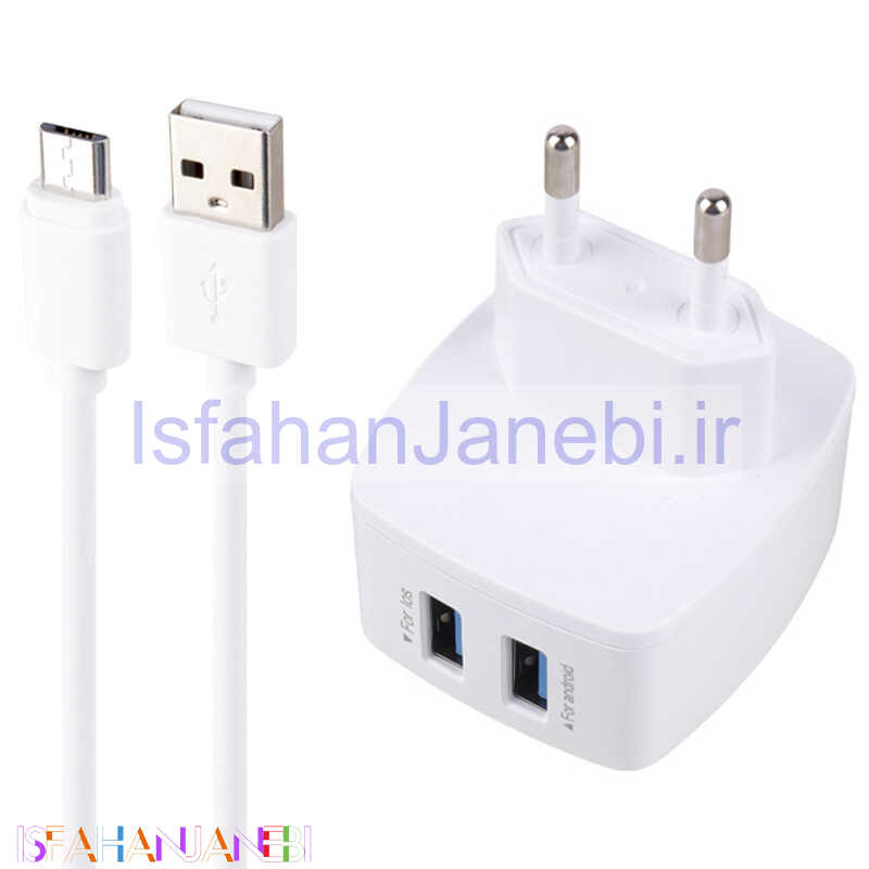 اصفهان جانبی-شارژر دیواری Verity AP 2112 + کابل میکرو یو اس بی