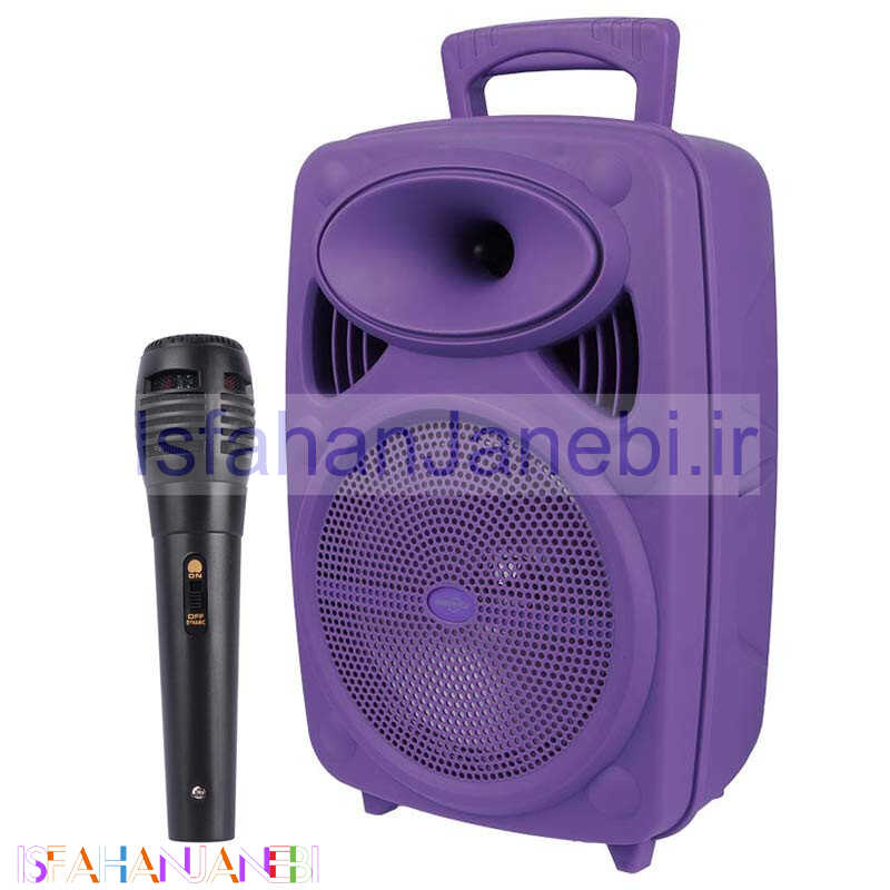اصفهان جانبی-اسپیکر بلوتوثی رم و فلش خور Greatnice GTS-1950 + میکروفون